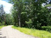 Jonesport Beals Maine Real Estate