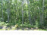 Jonesport Beals Maine Real Estate