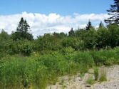 Jonesport Beals Maine Real Estate